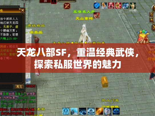 天龙八部SF，重温经典武侠，探索私服世界的魅力