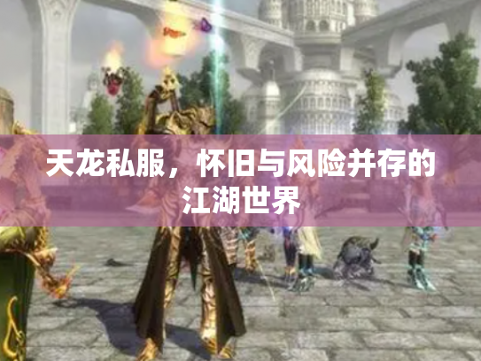 天龙私服，怀旧与风险并存的江湖世界