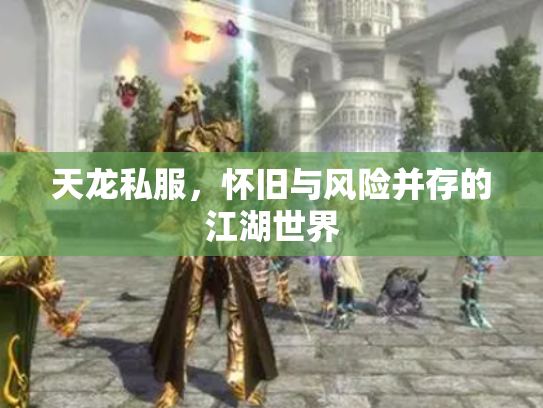 天龙私服，怀旧与风险并存的江湖世界