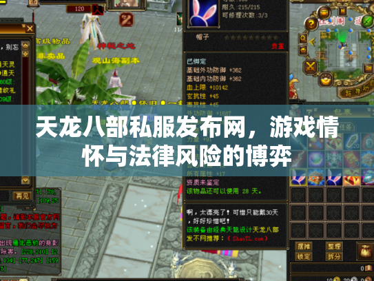 天龙八部私服发布网，游戏情怀与法律风险的博弈