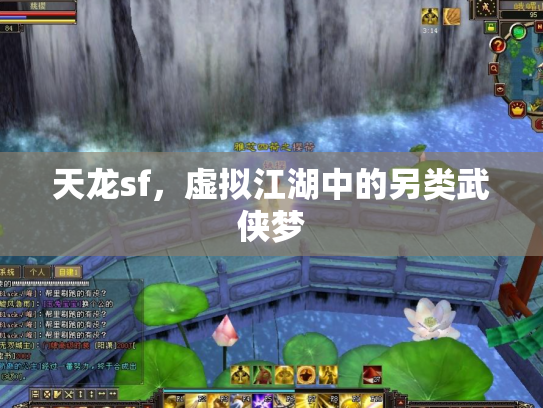 天龙sf，虚拟江湖中的另类武侠梦