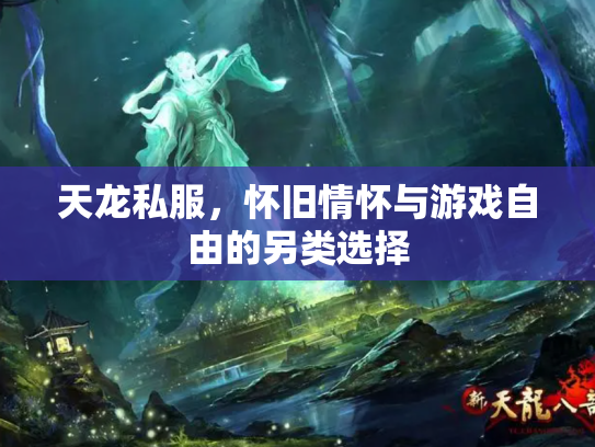 天龙私服，怀旧情怀与游戏自由的另类选择