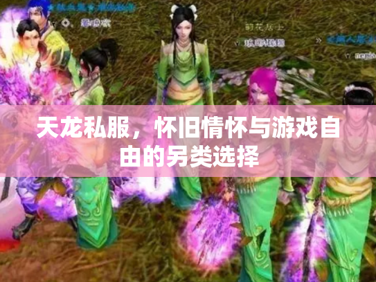 天龙私服，怀旧情怀与游戏自由的另类选择
