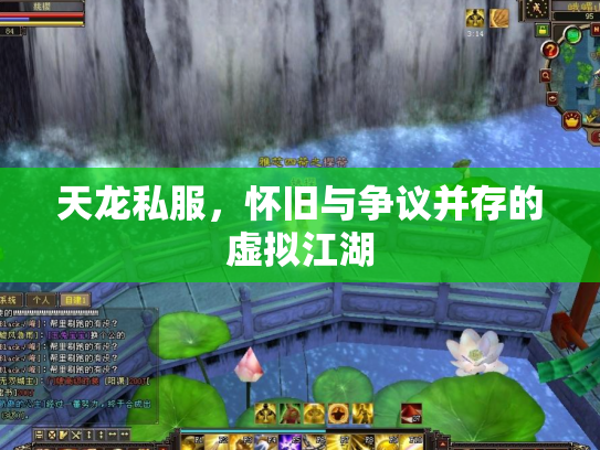 天龙私服，怀旧与争议并存的虚拟江湖