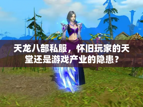天龙八部私服，怀旧玩家的天堂还是游戏产业的隐患？