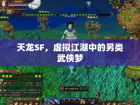 天龙SF，虚拟江湖中的另类武侠梦