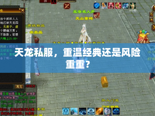 天龙私服，重温经典还是风险重重？