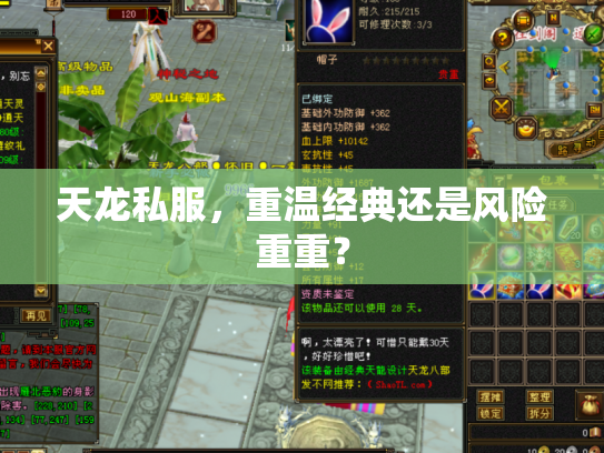 天龙私服，重温经典还是风险重重？
