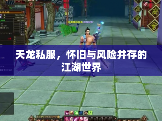 天龙私服，怀旧与风险并存的江湖世界