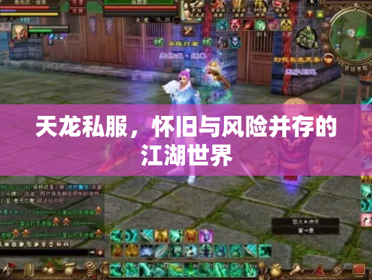 天龙私服，怀旧与风险并存的江湖世界