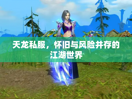 天龙私服，怀旧与风险并存的江湖世界