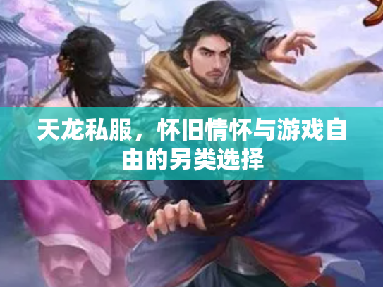天龙私服，怀旧情怀与游戏自由的另类选择