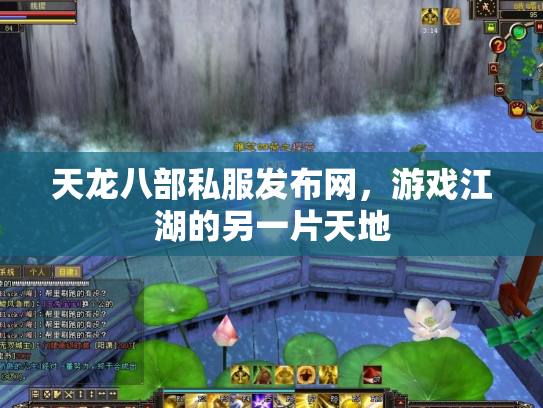 天龙八部私服发布网，游戏江湖的另一片天地