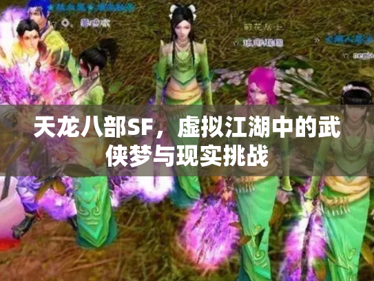 天龙八部SF，虚拟江湖中的武侠梦与现实挑战