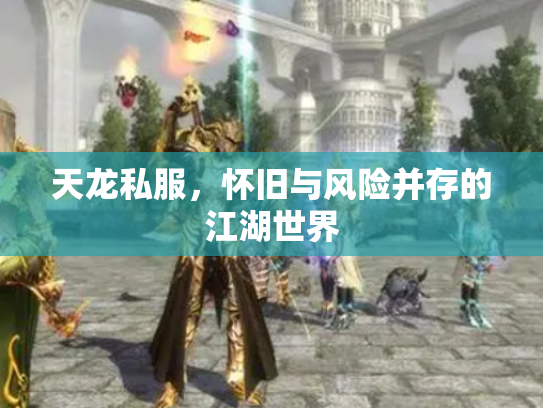 天龙私服，怀旧与风险并存的江湖世界