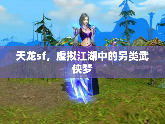 天龙sf，虚拟江湖中的另类武侠梦