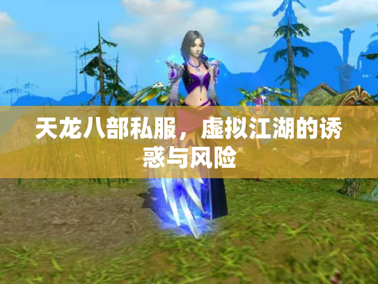 天龙八部私服，虚拟江湖的诱惑与风险