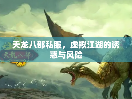 天龙八部私服，虚拟江湖的诱惑与风险
