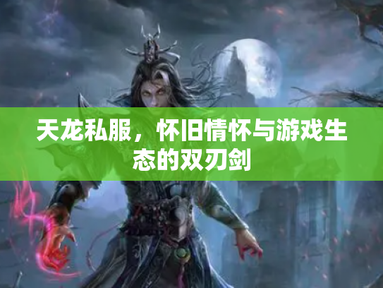 天龙私服，怀旧情怀与游戏生态的双刃剑