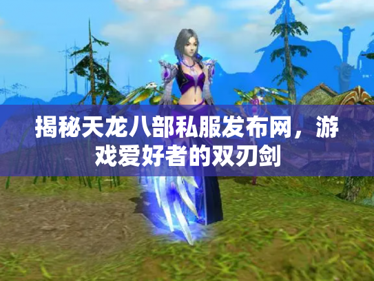 揭秘天龙八部私服发布网，游戏爱好者的双刃剑