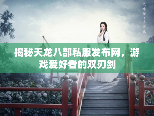 揭秘天龙八部私服发布网，游戏爱好者的双刃剑