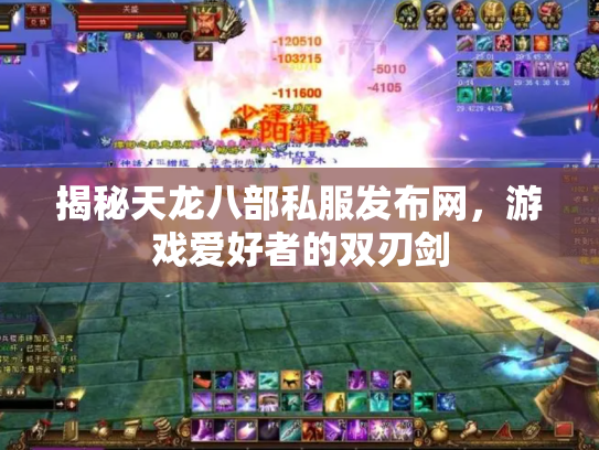 揭秘天龙八部私服发布网，游戏爱好者的双刃剑