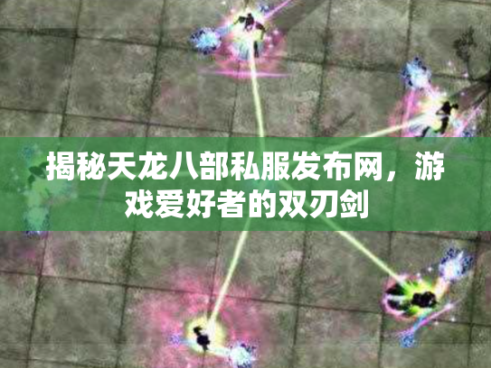 揭秘天龙八部私服发布网，游戏爱好者的双刃剑