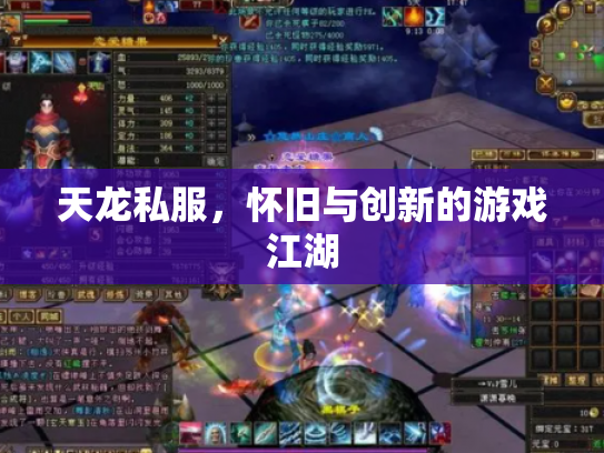天龙私服，怀旧与创新的游戏江湖