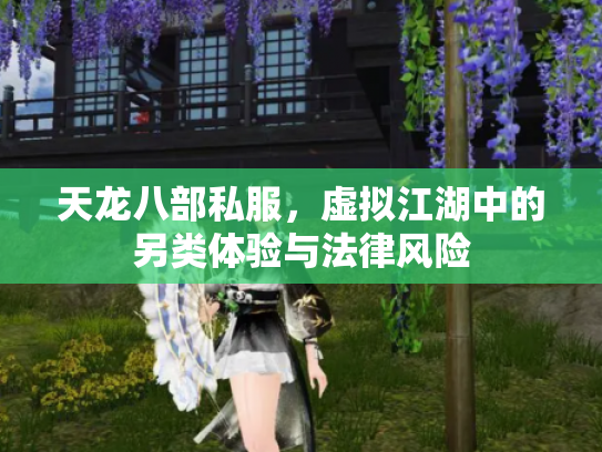 天龙八部私服，虚拟江湖中的另类体验与法律风险