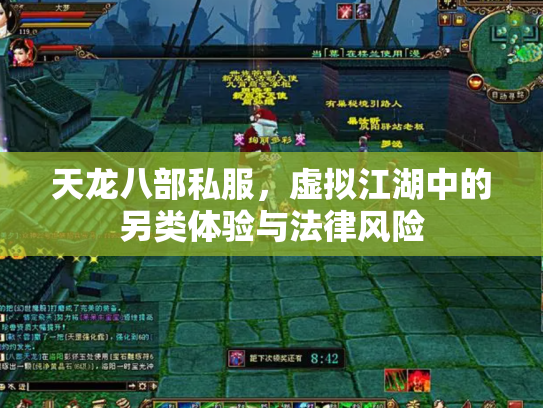 天龙八部私服，虚拟江湖中的另类体验与法律风险