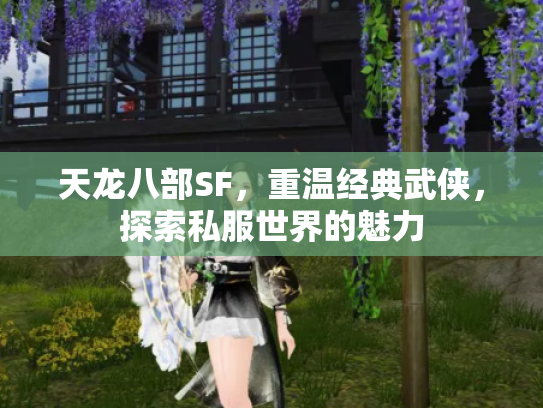 天龙八部SF，重温经典武侠，探索私服世界的魅力
