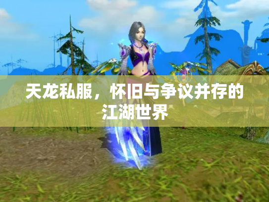 天龙私服，怀旧与争议并存的江湖世界