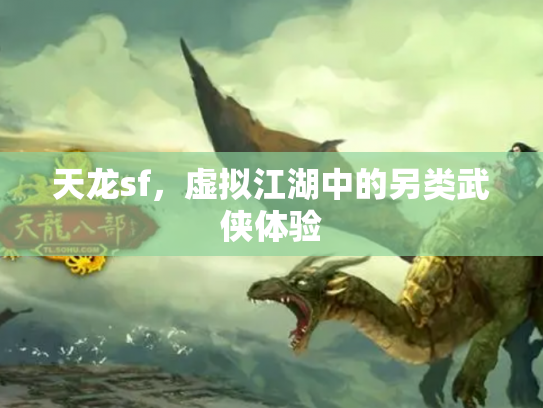 天龙sf，虚拟江湖中的另类武侠体验