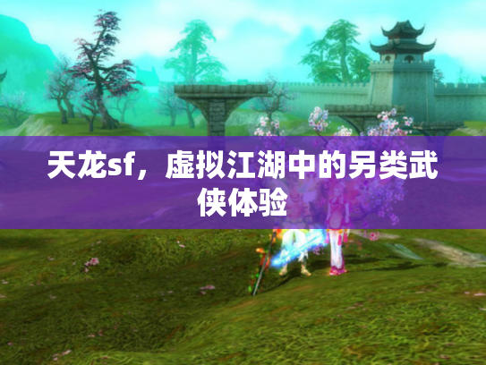 天龙sf，虚拟江湖中的另类武侠体验