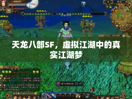 天龙八部SF，虚拟江湖中的真实江湖梦