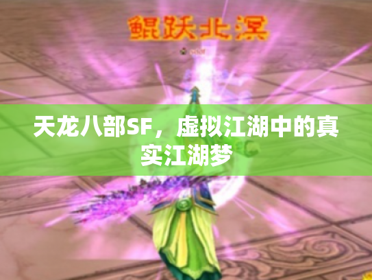 天龙八部SF，虚拟江湖中的真实江湖梦