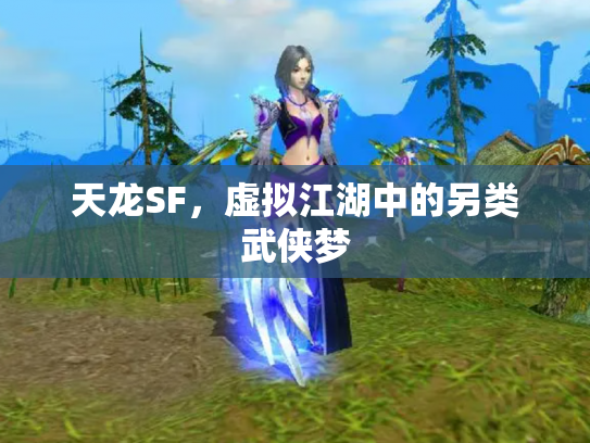 天龙SF，虚拟江湖中的另类武侠梦