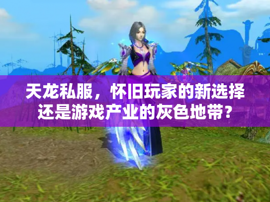 天龙私服，怀旧玩家的新选择还是游戏产业的灰色地带？