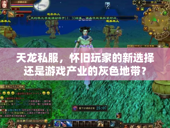 天龙私服，怀旧玩家的新选择还是游戏产业的灰色地带？