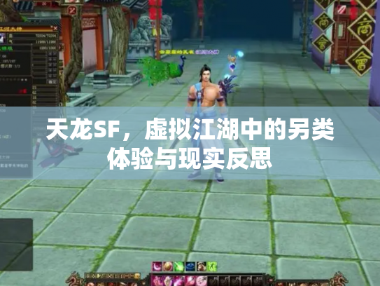 天龙SF，虚拟江湖中的另类体验与现实反思