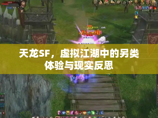 天龙SF，虚拟江湖中的另类体验与现实反思