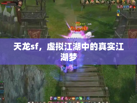 天龙sf，虚拟江湖中的真实江湖梦