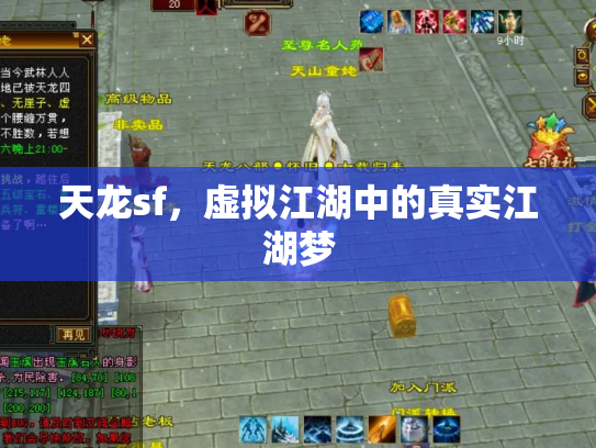 天龙sf，虚拟江湖中的真实江湖梦