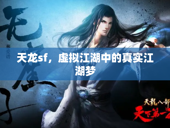 天龙sf，虚拟江湖中的真实江湖梦
