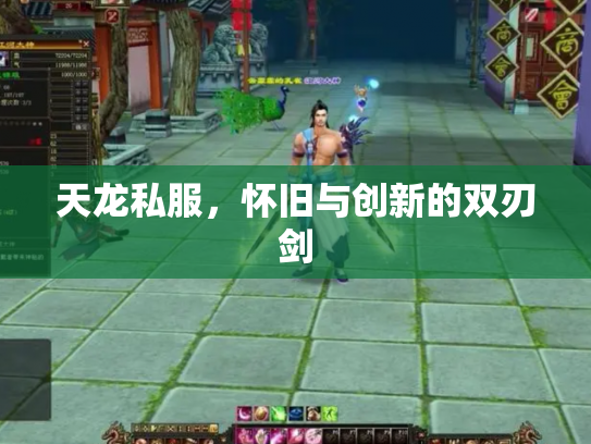 天龙私服，怀旧与创新的双刃剑