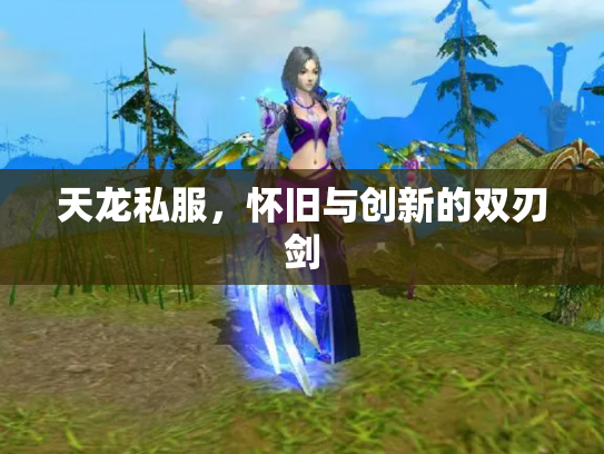 天龙私服，怀旧与创新的双刃剑