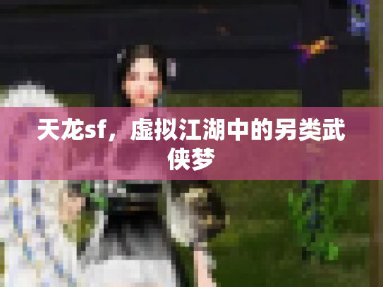 天龙sf，虚拟江湖中的另类武侠梦