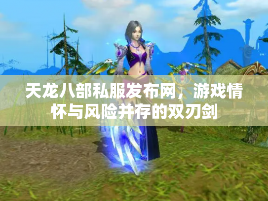 天龙八部私服发布网，游戏情怀与风险并存的双刃剑