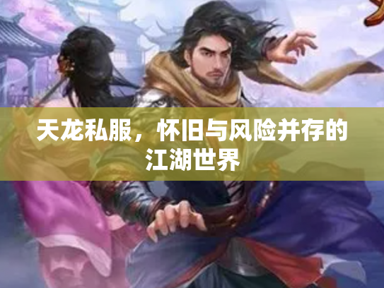 天龙私服，怀旧与风险并存的江湖世界