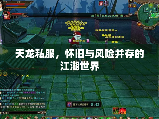 天龙私服，怀旧与风险并存的江湖世界